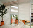 cortinas bambulitas en medellin